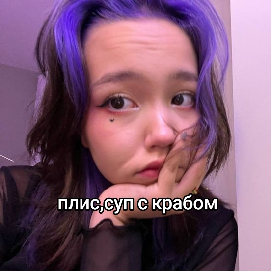 @avv.am