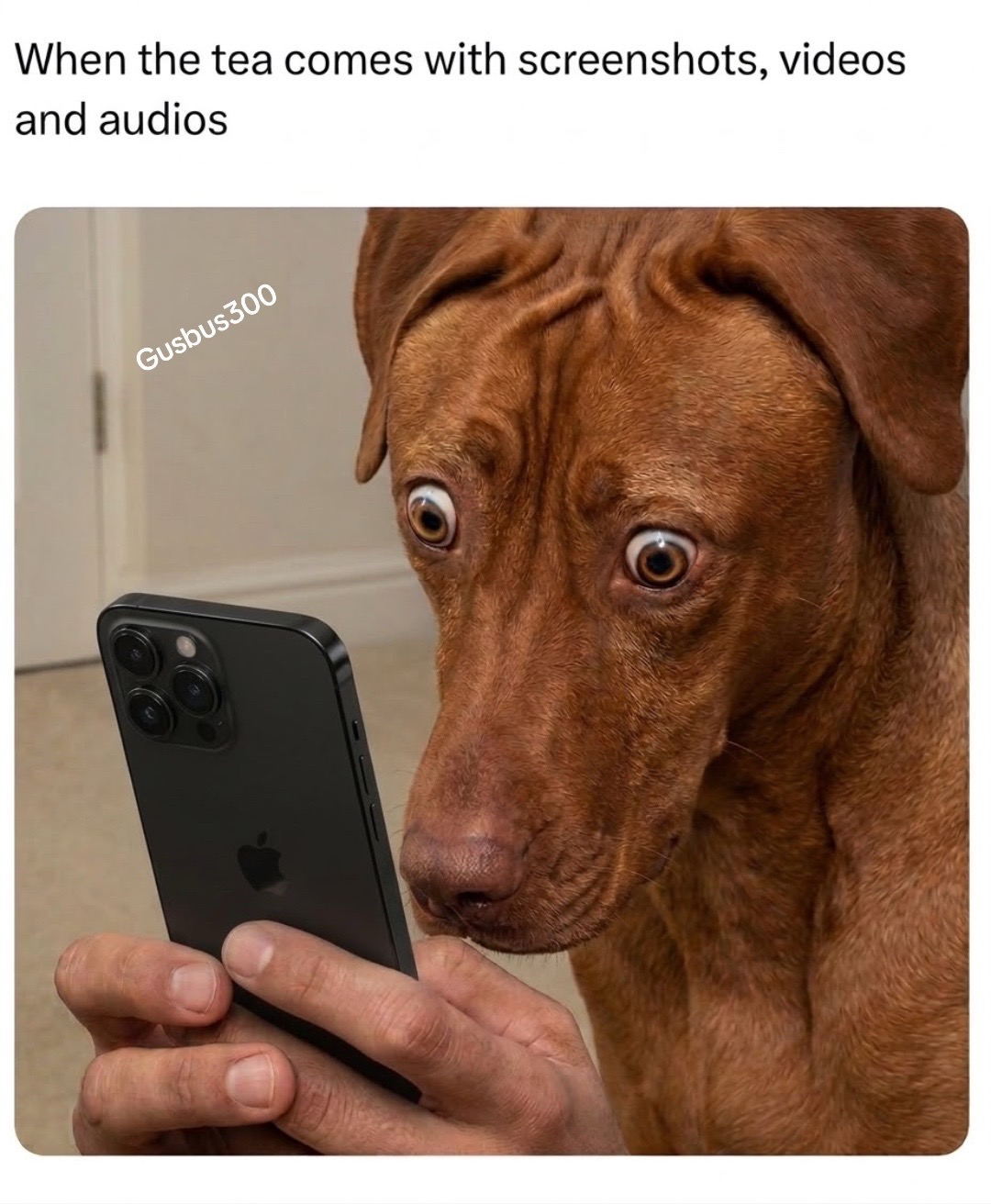 @Gusbus300