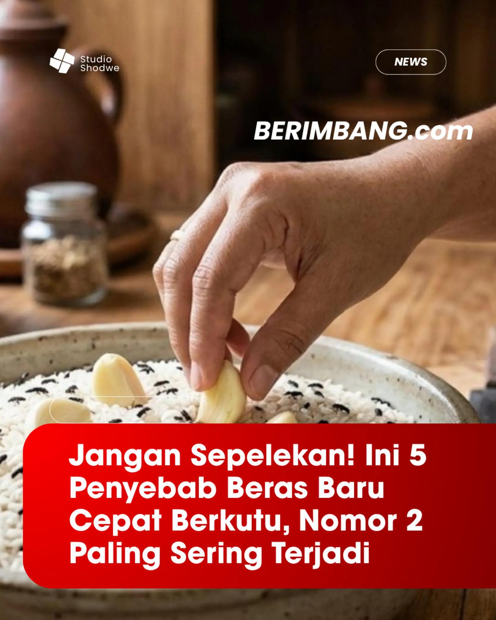 @BERIMBANG.com🌹