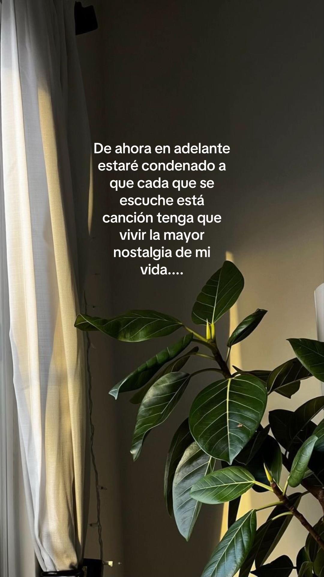 @Joseestuardo