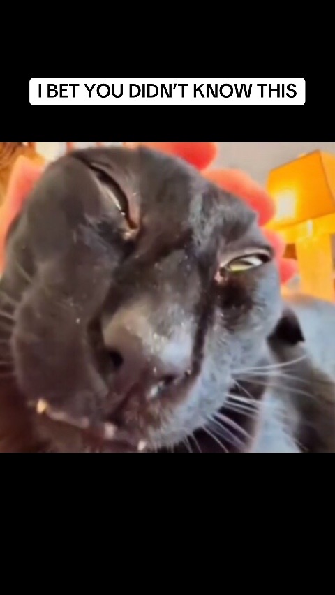 @EVIL_LARRY