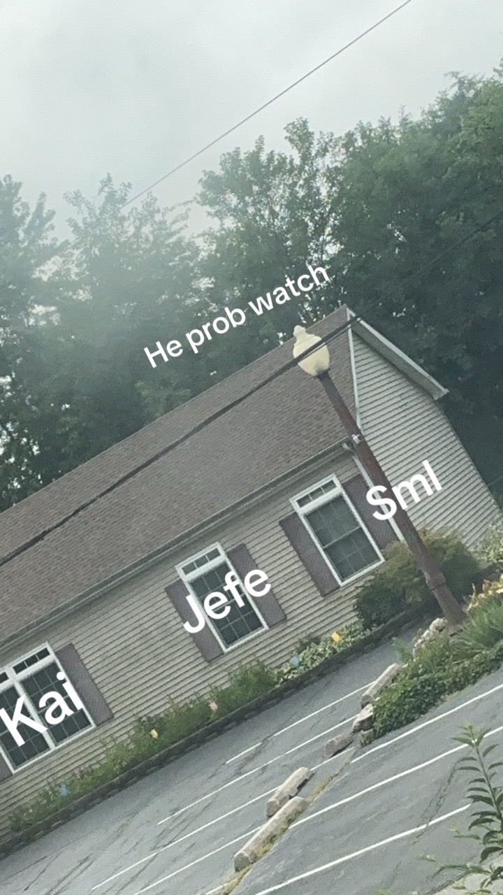 @acchlio