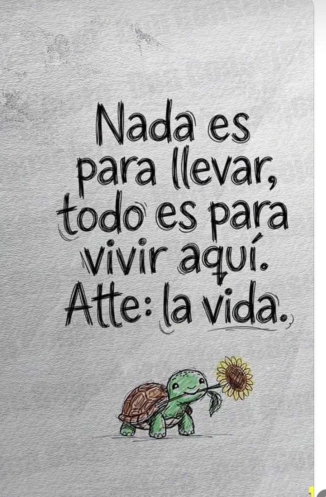 @Glenis