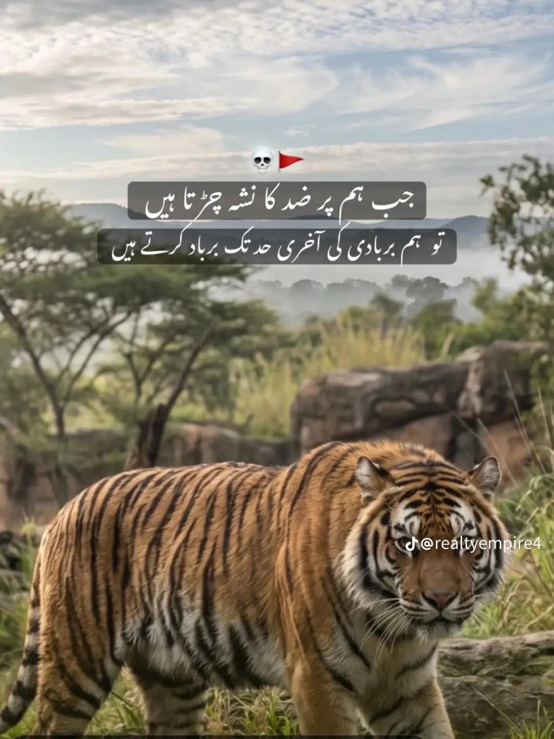 @♥️✌️علی ملتان الہ😎