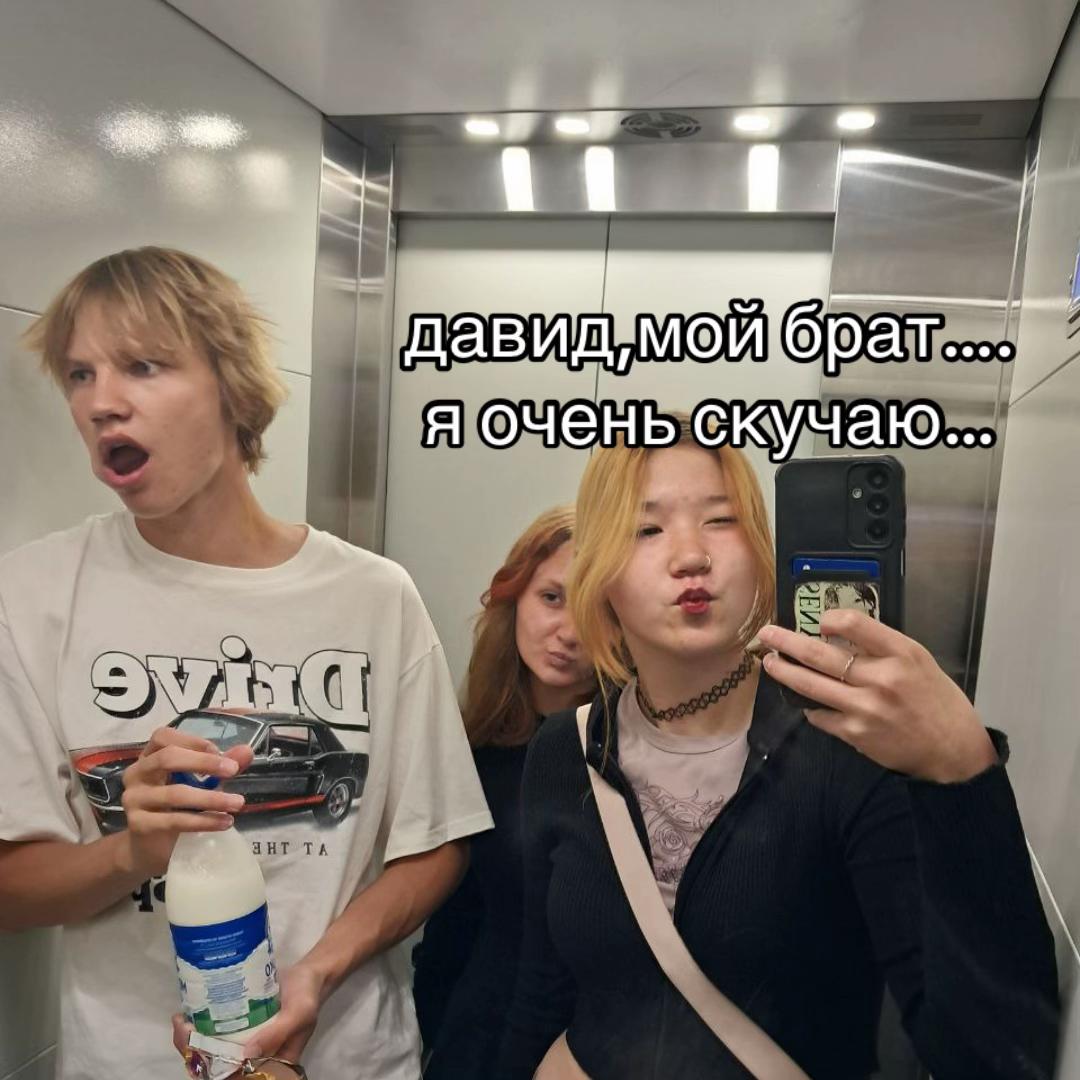 @карина пай🦊