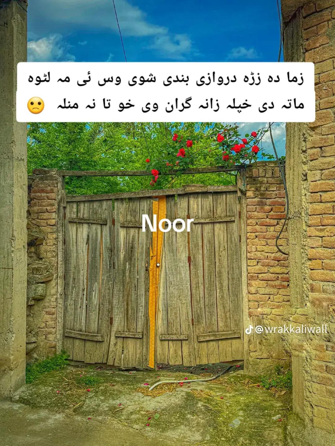 @Sahar Noor