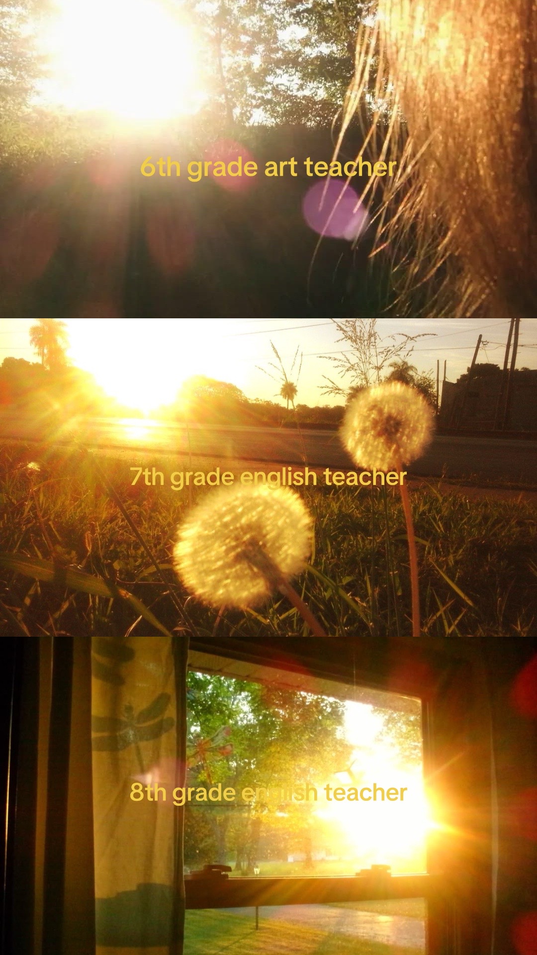 @˚˖𓍢ִ໋❀