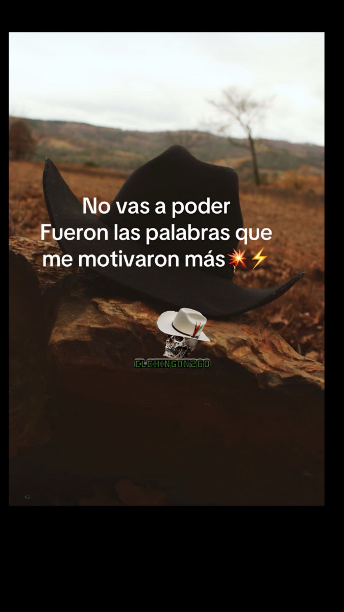 @Pedro Cruz