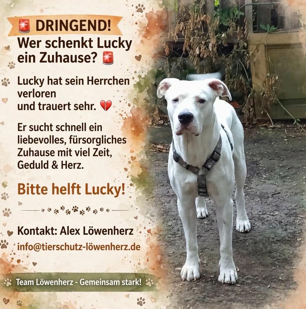 @Ulla. Pfoten-Liebe. ❤️