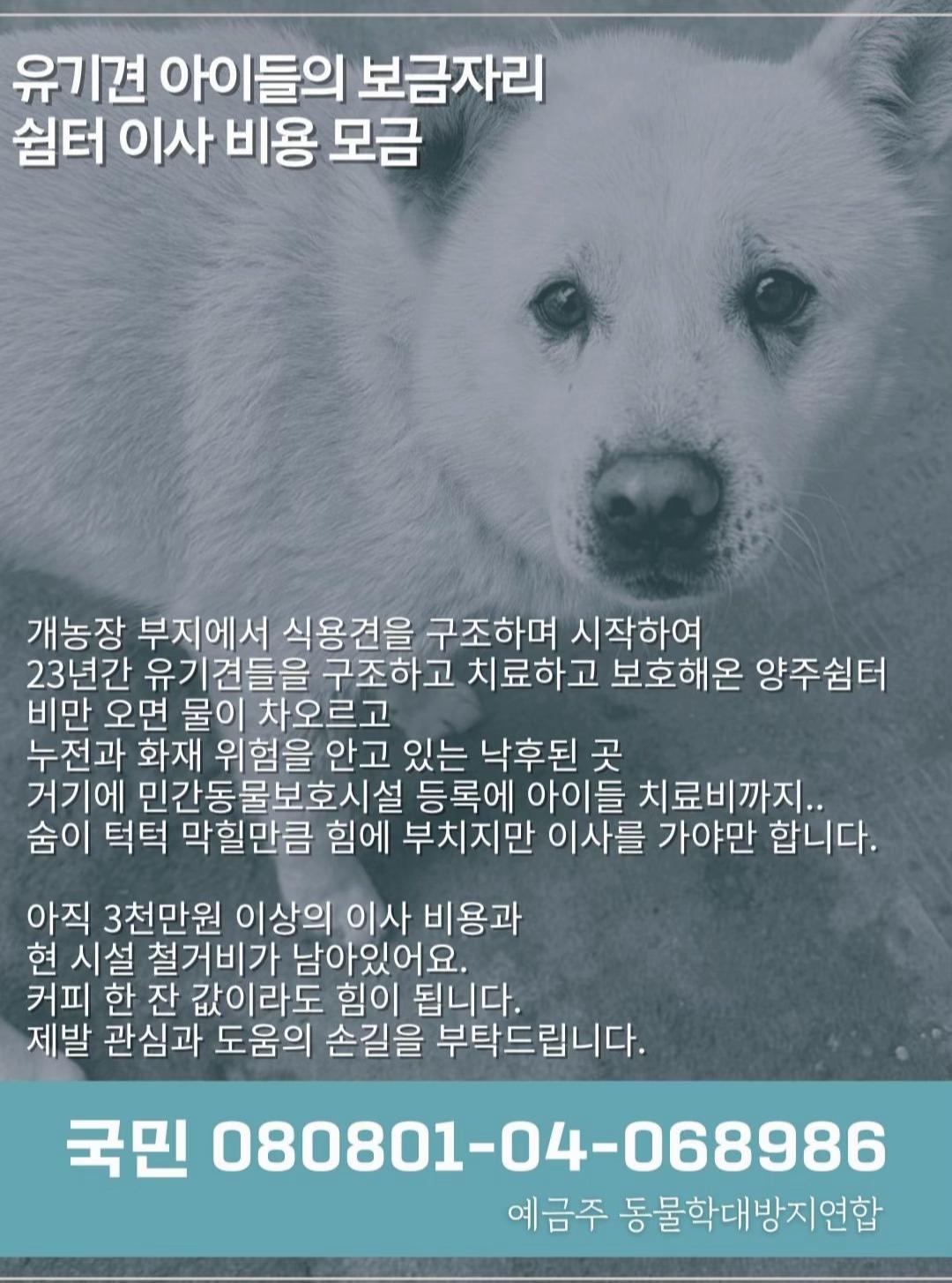 @현진영 hyunjinyoung