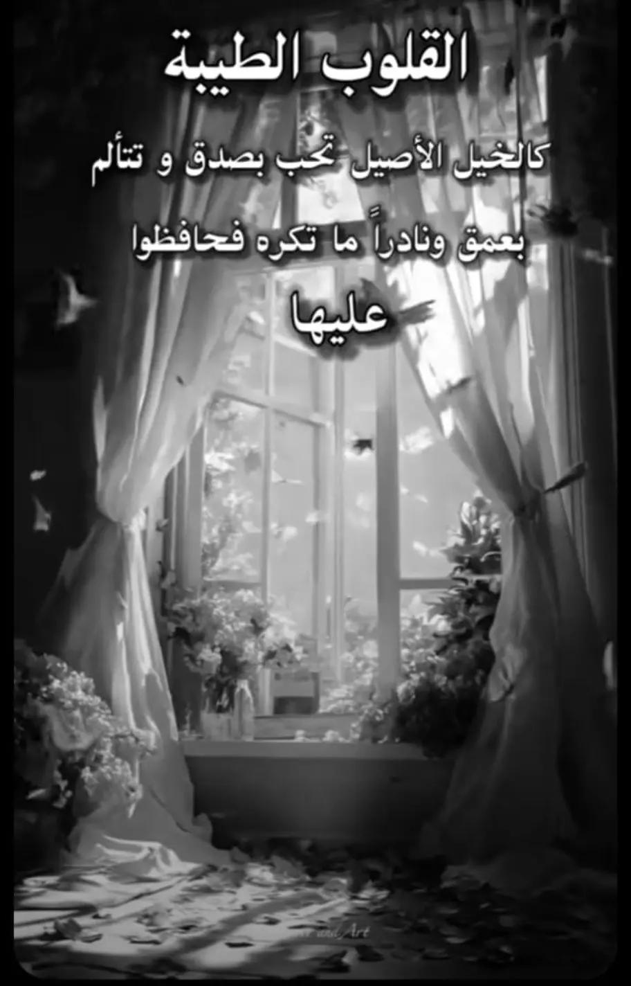 @💫 دياماندرا💫