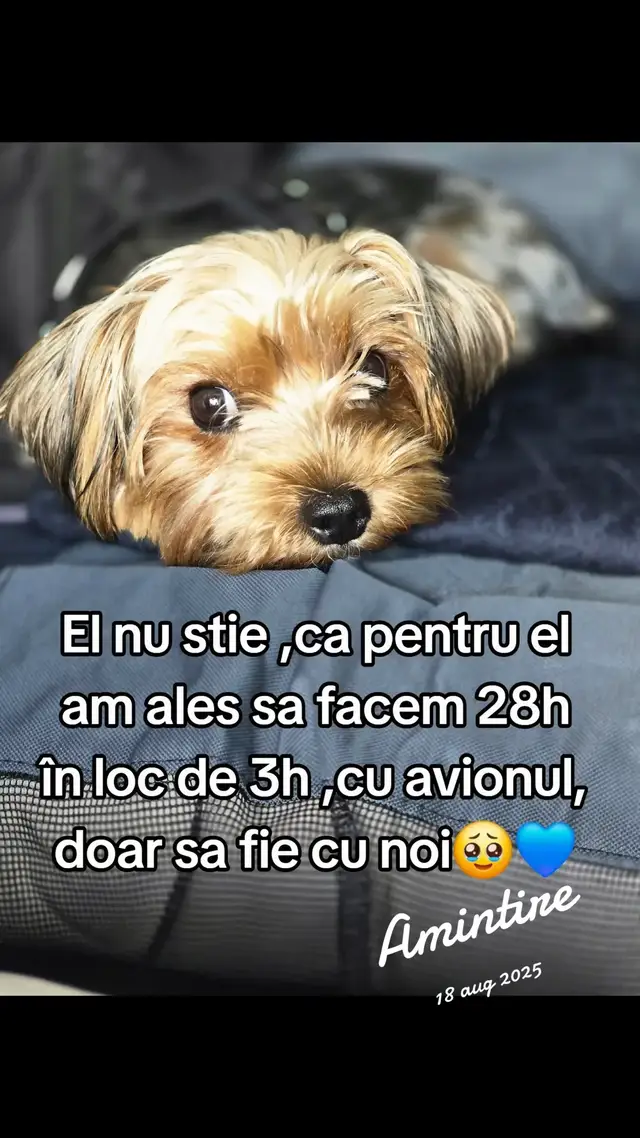 @Diana Andreea