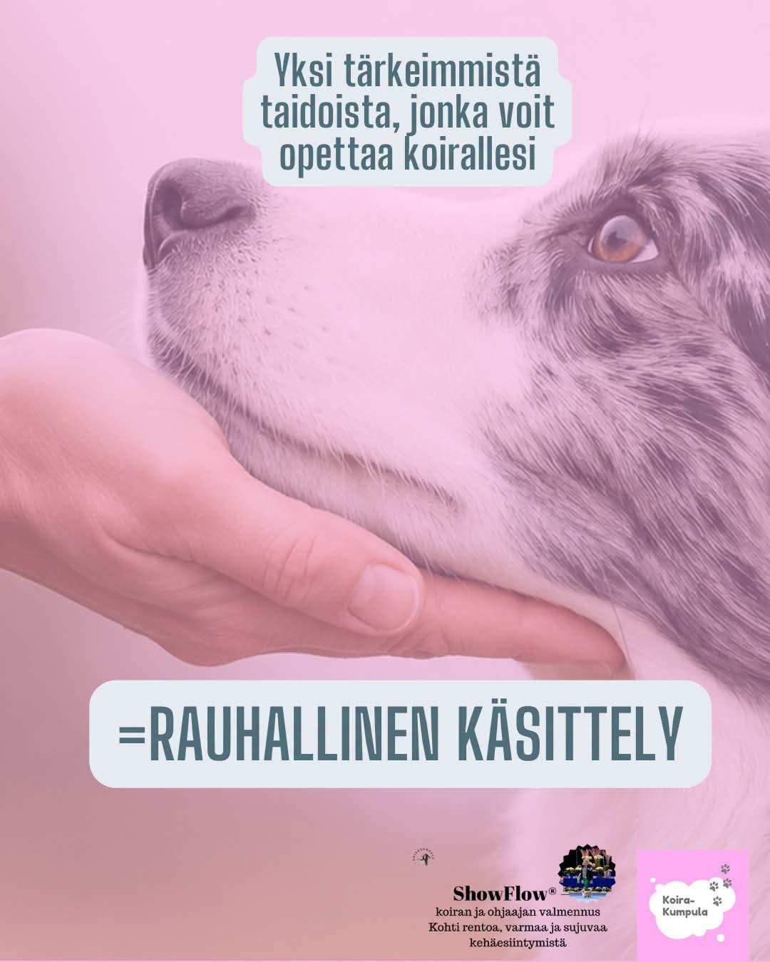 @Erja