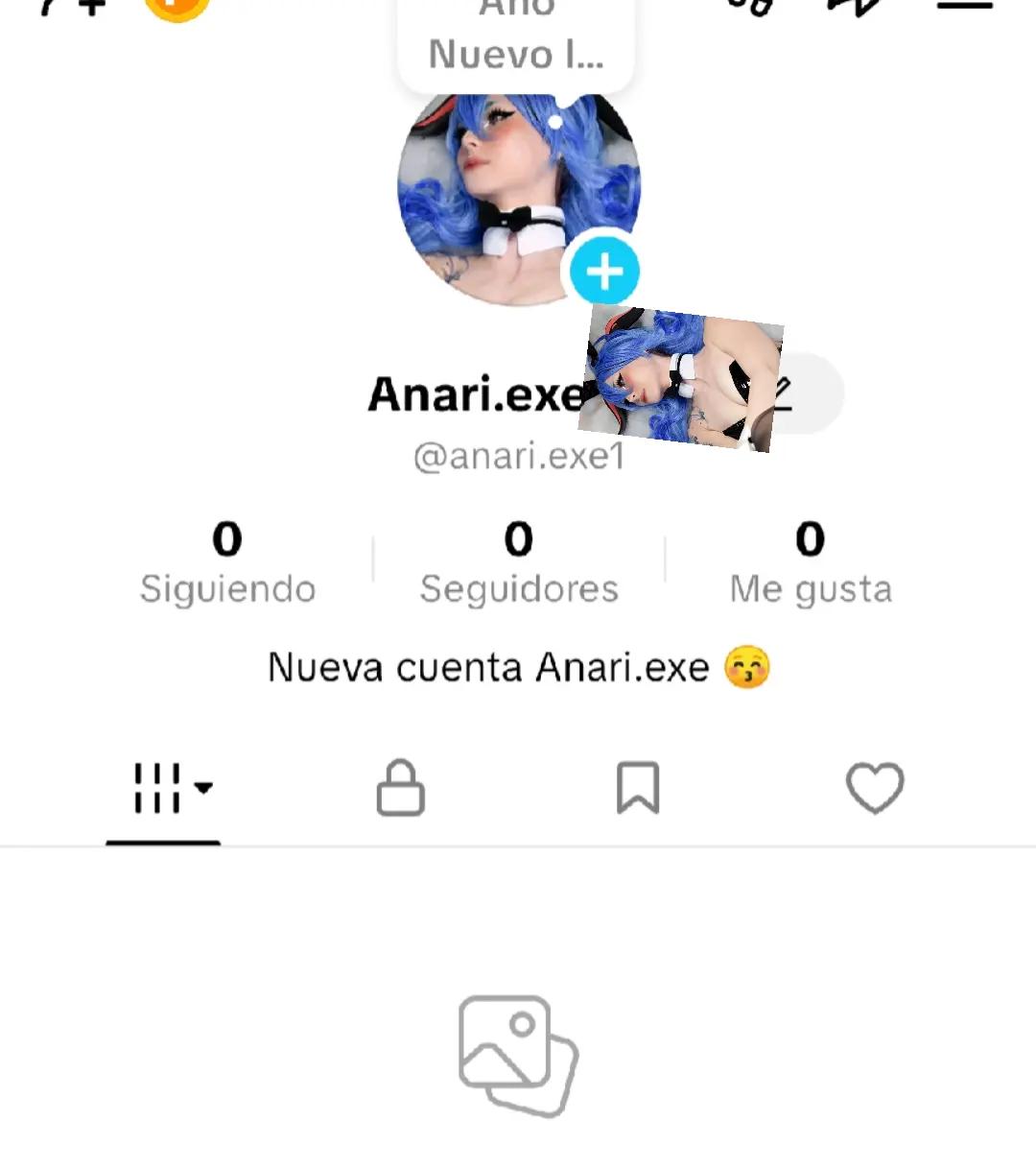 @anari.exe