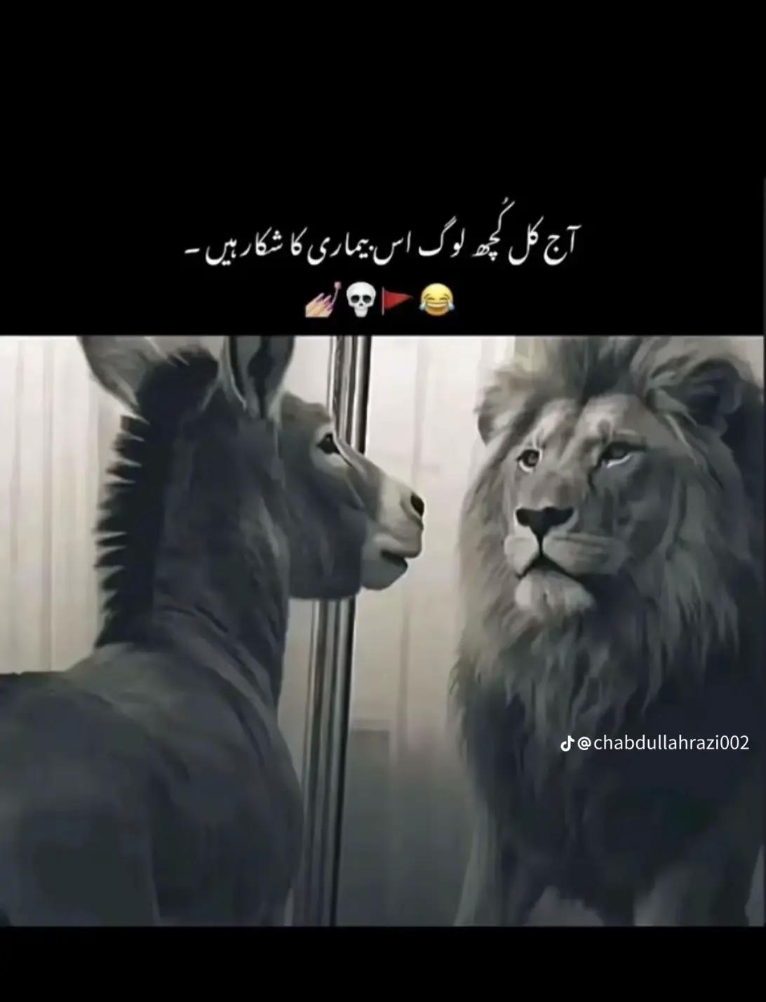 @✌️Mister✌️Danimehar