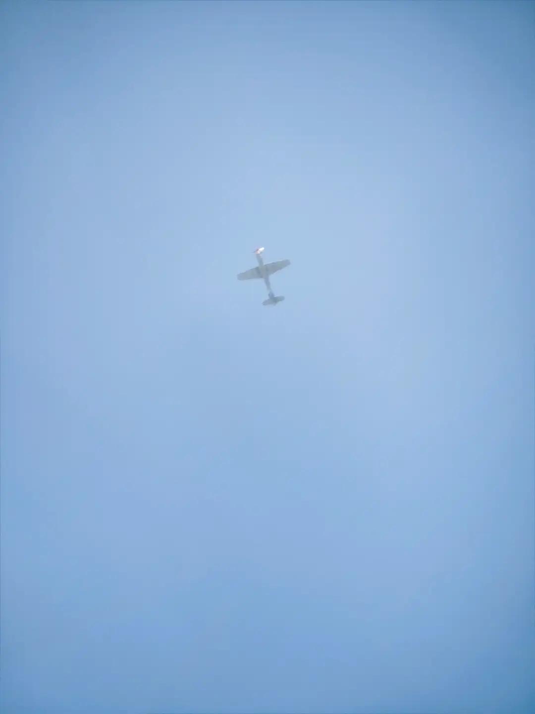 @TT-3114🇮🇩🦈