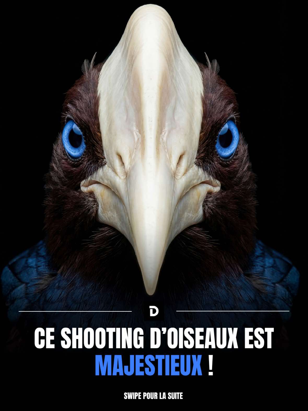 @Demotivateur