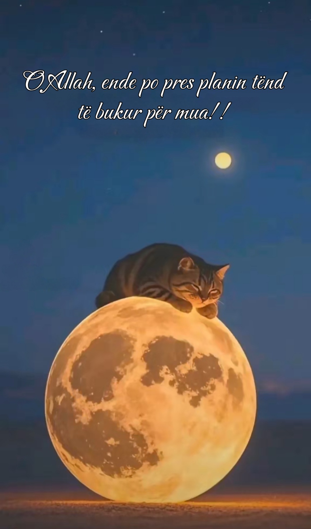 @tijatija