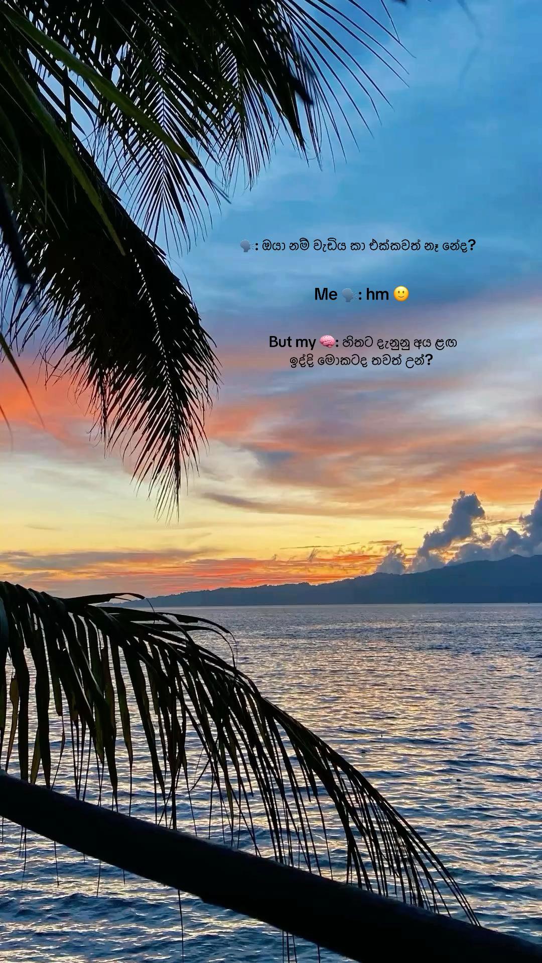 @ꇘ𝕙𝕖𝕨♡