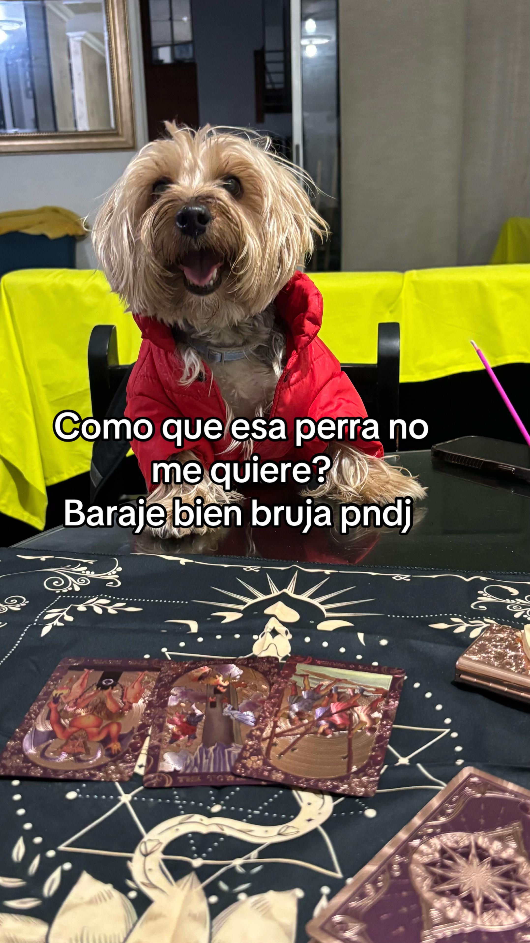 @T de Tarot