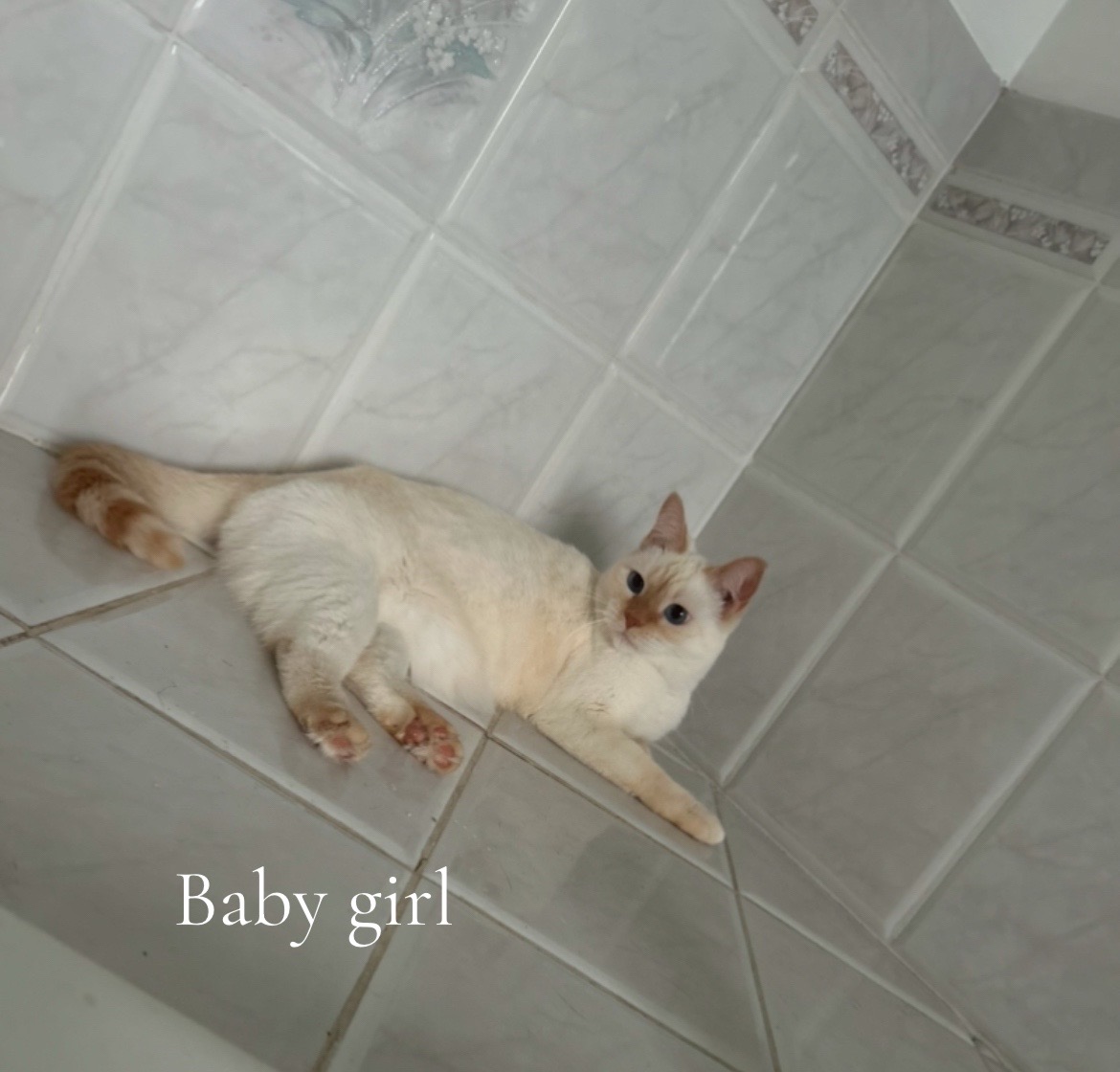 @eepykittiew
