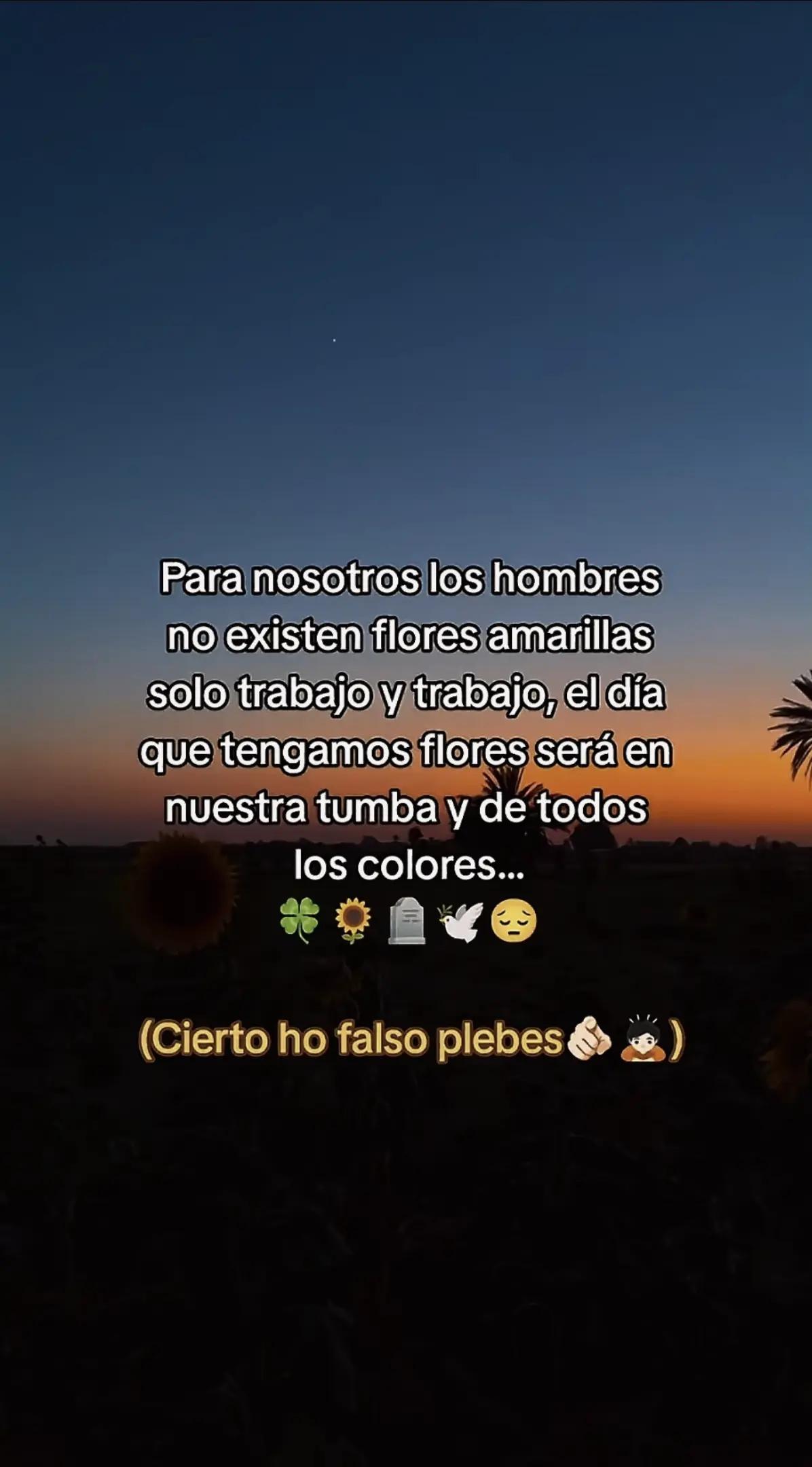 @natale rogeron