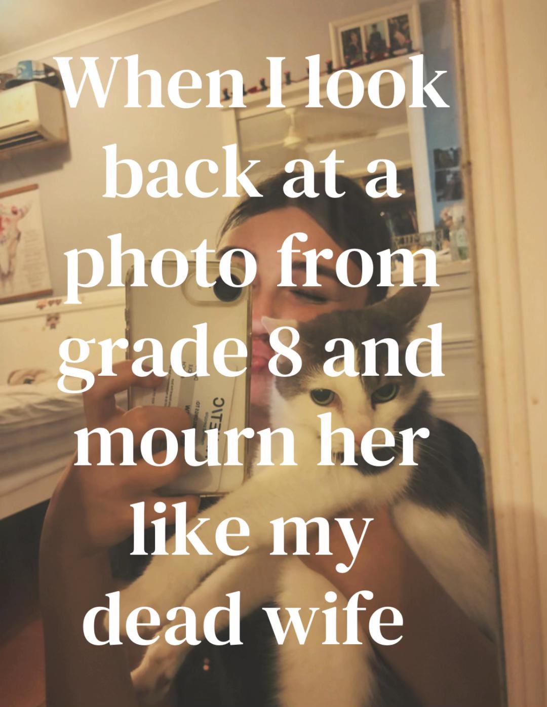 @🐨