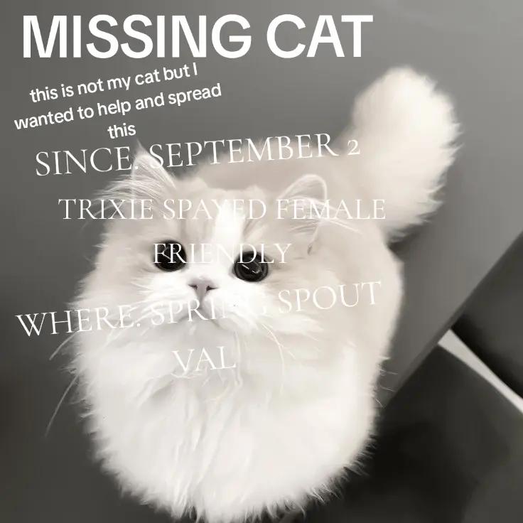 @hello kitty1245632