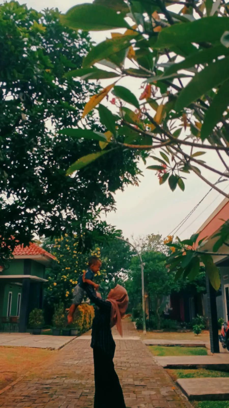 @Lingga