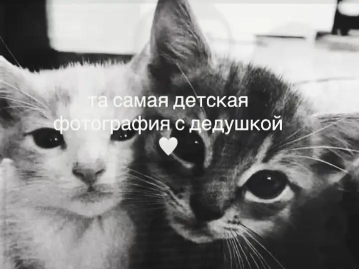 @𝚗𝚘𝚝𝚑𝚒𝚗𝚐𝚗𝚎𝚜𝚜