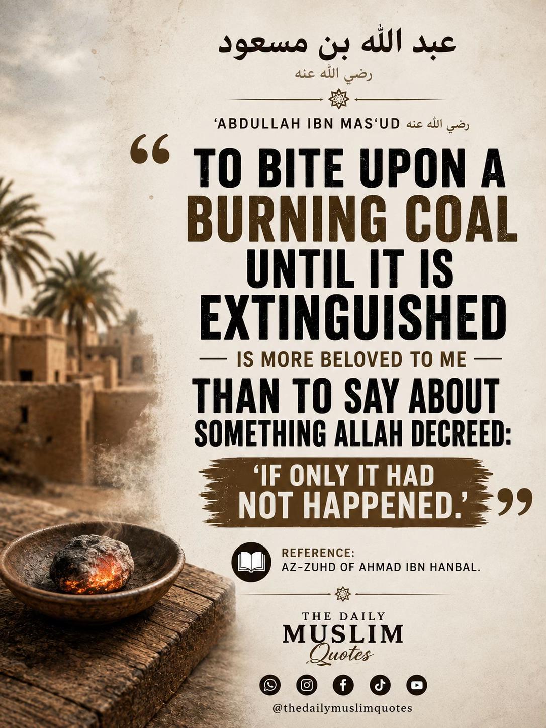 @thedailymuslimquotes
