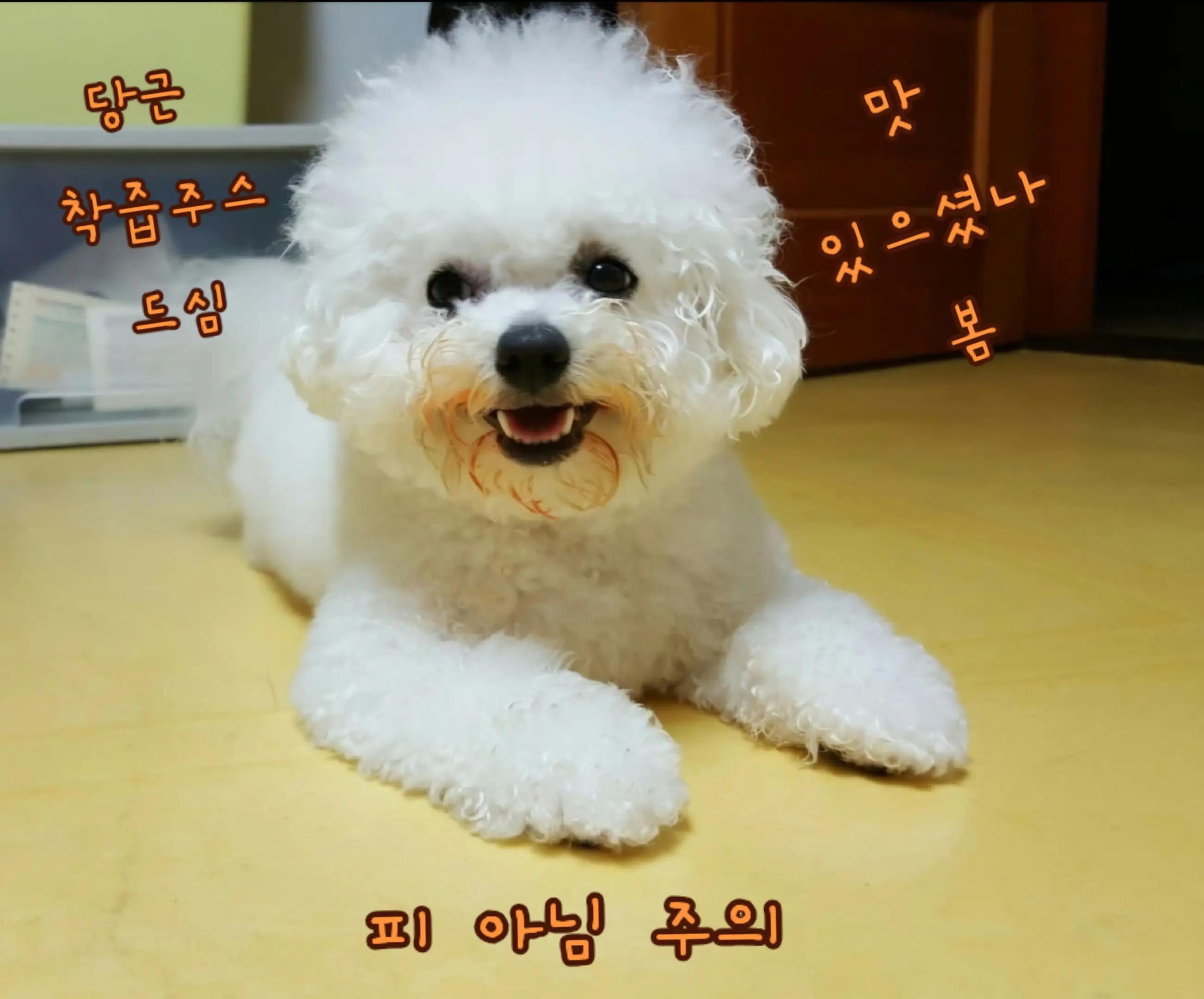 @๐๐ ๋ณ ๐๐