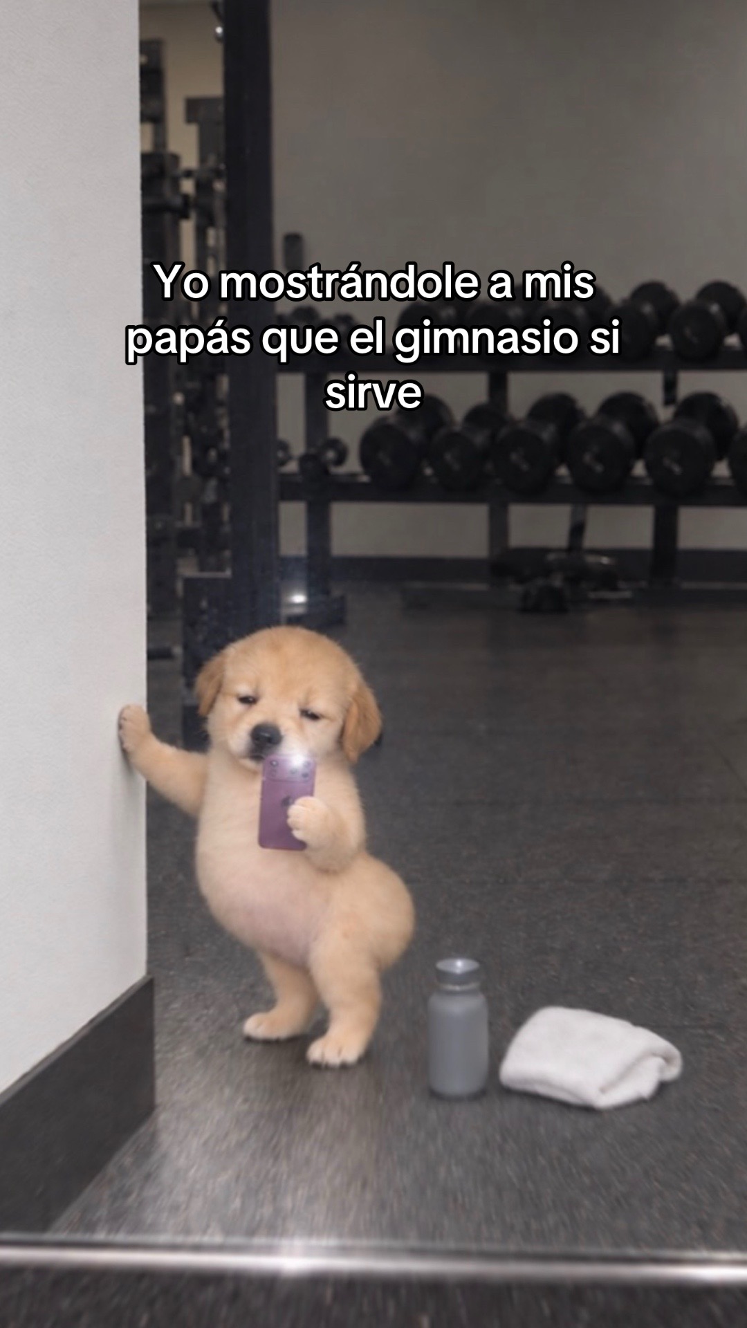 @Vanessa Avalos 🩺🪖