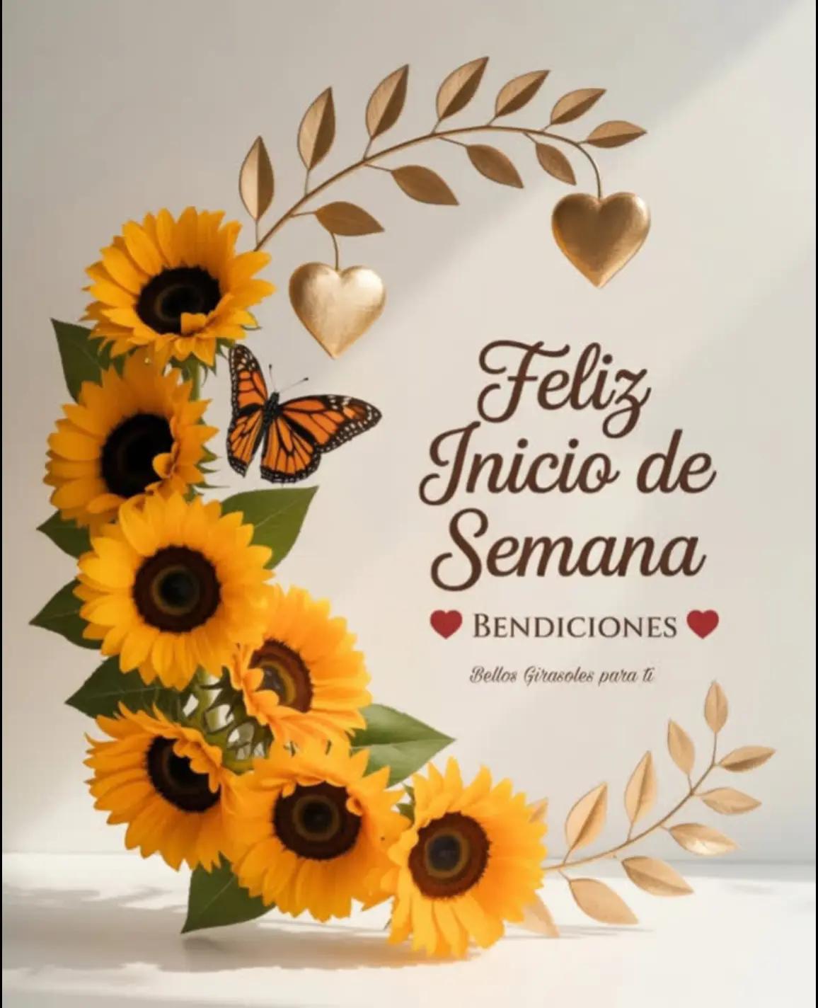 @Brenda marchan