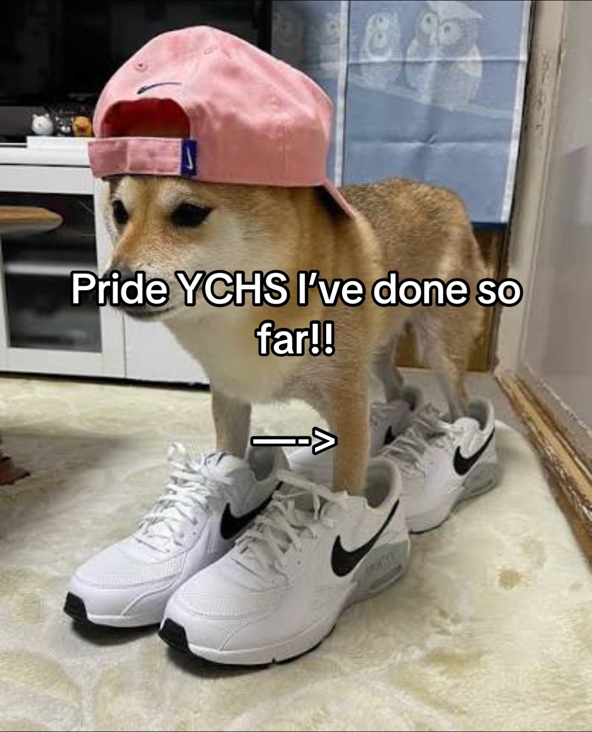 @kaihimez