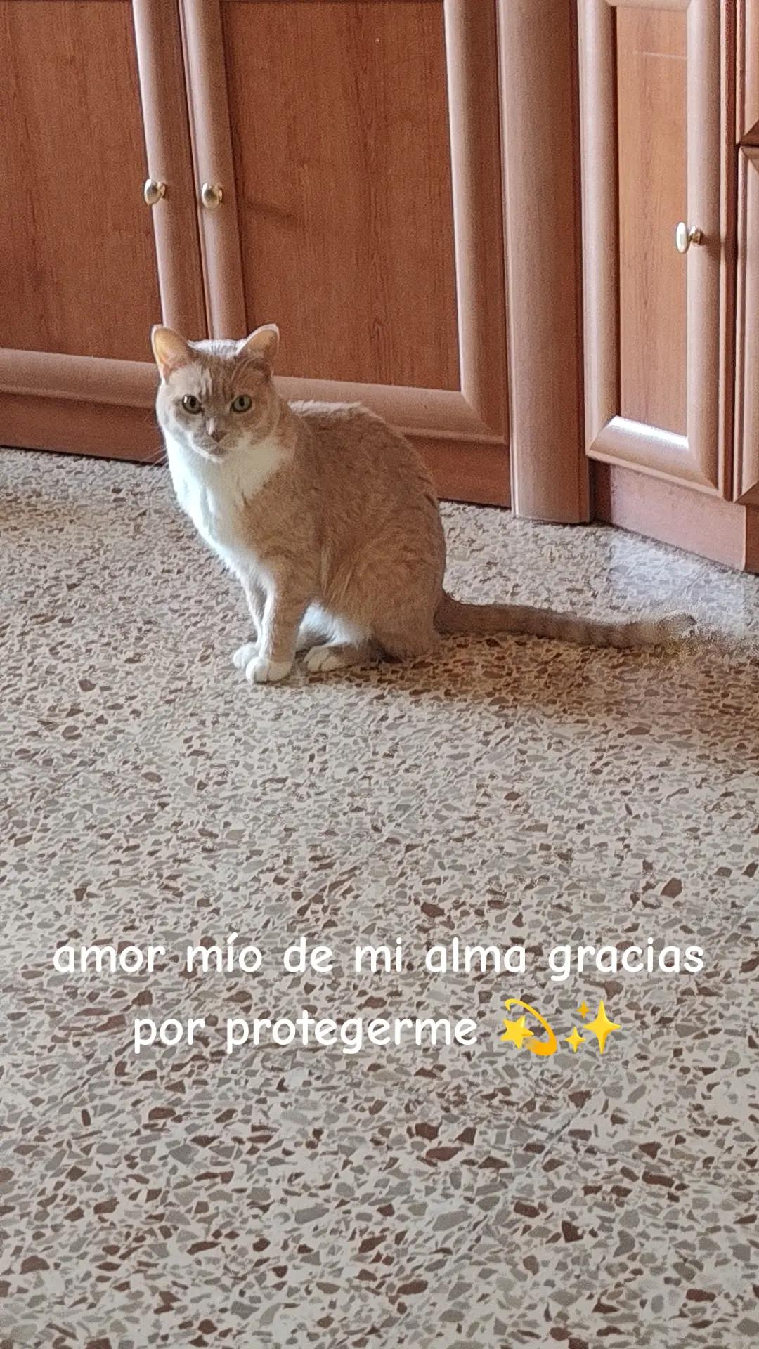 @Amaru amaritza