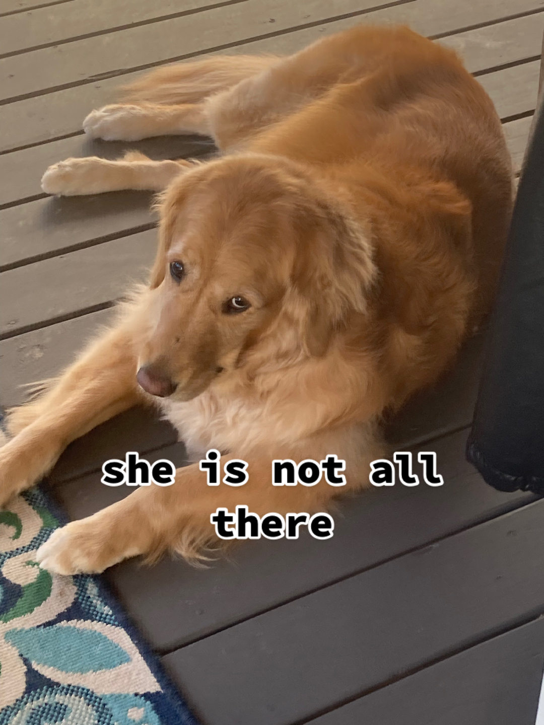 @max (very real and not ai man)
