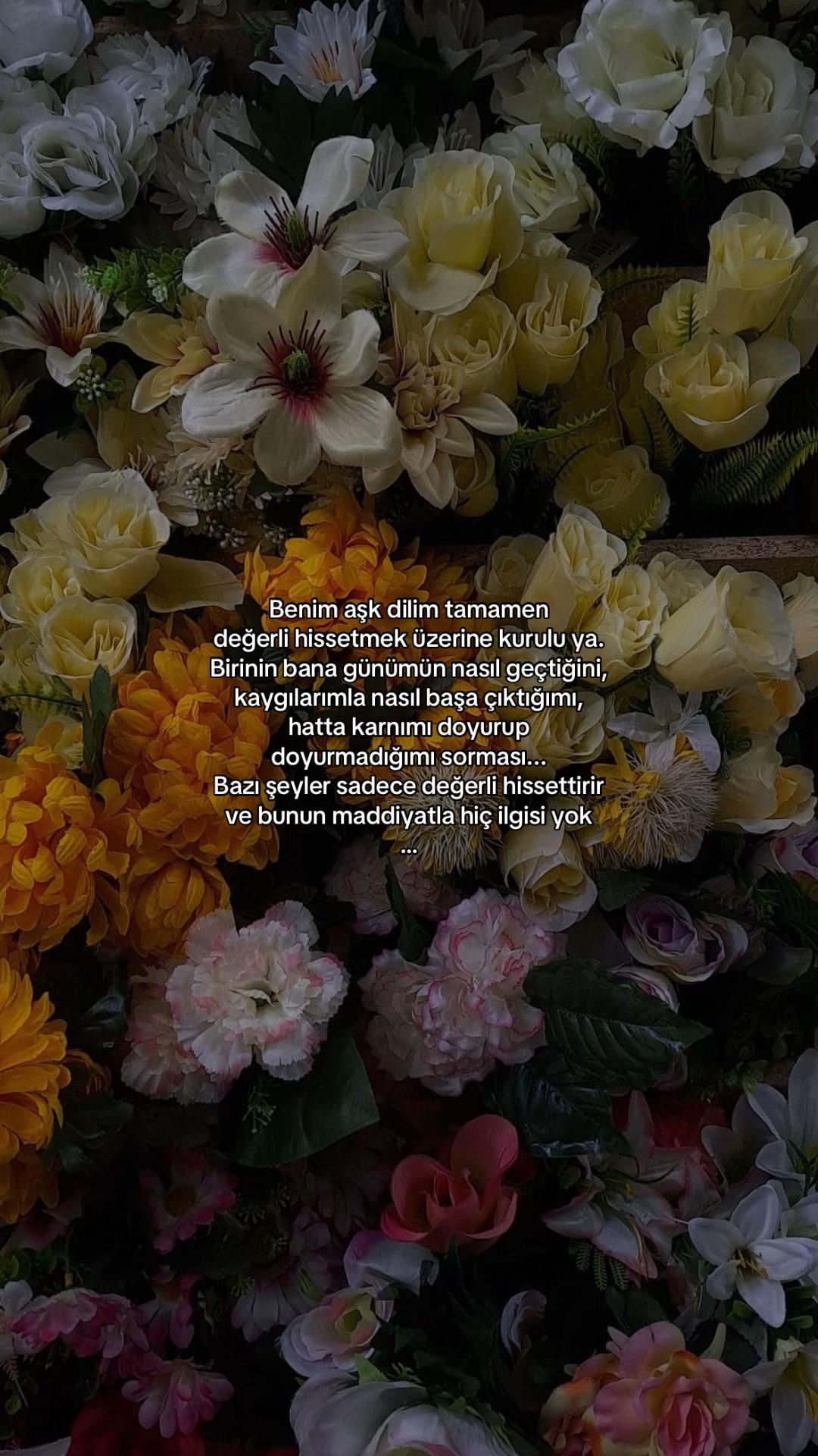 @𝓔𝓵𝓲𝓯