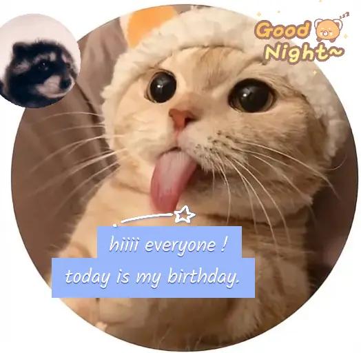 @Sindy123!