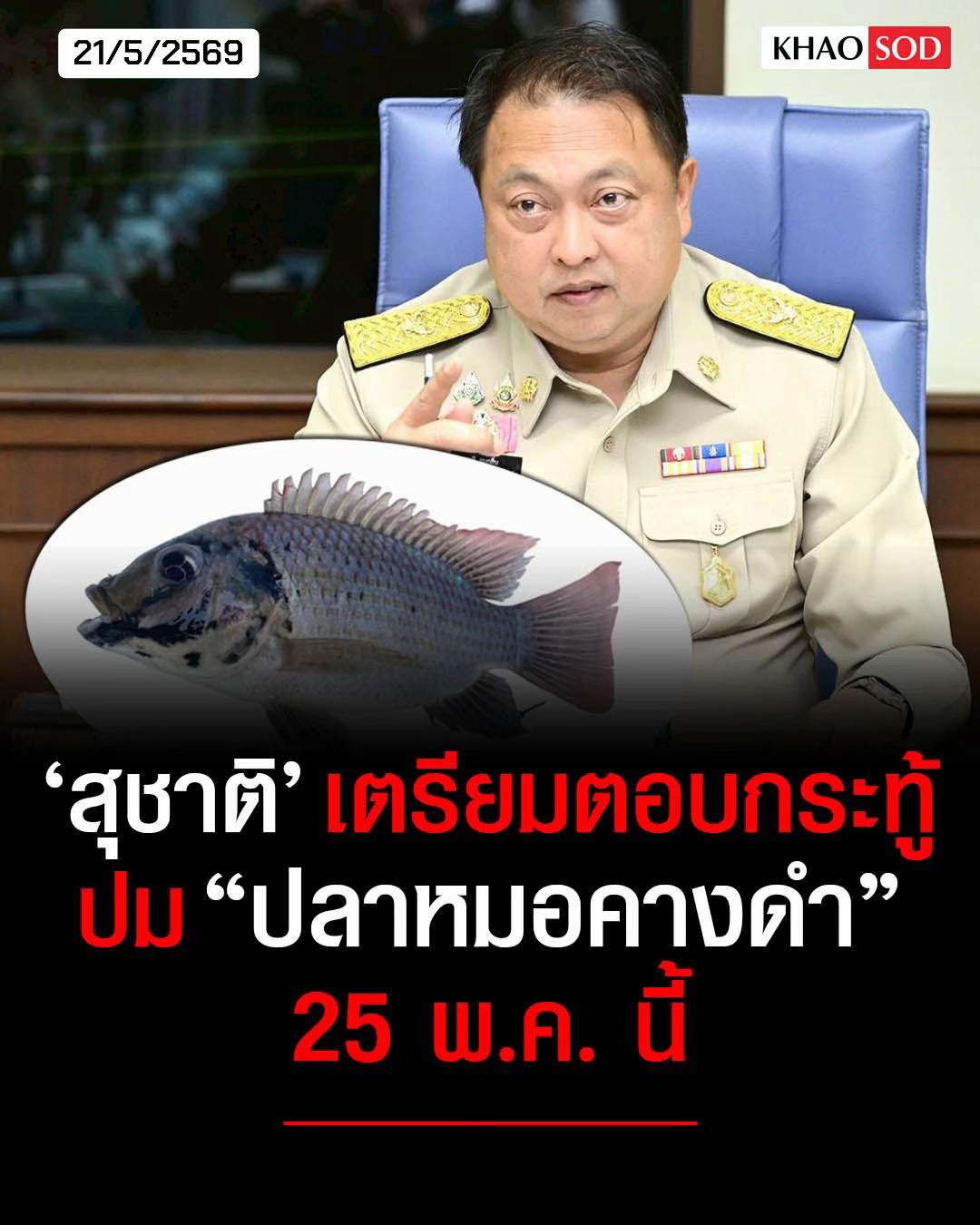 @シ llมว_lป้า シ