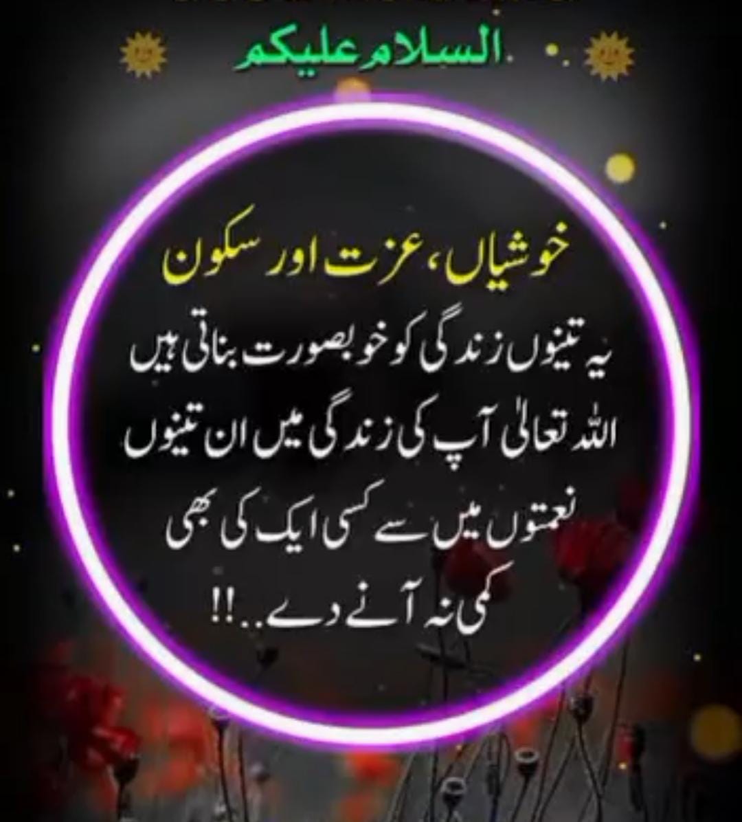 @ayanshaikh305