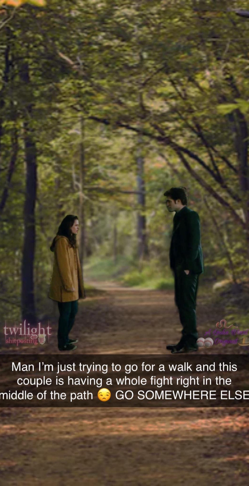 @📚 Twilight Shitposting💿