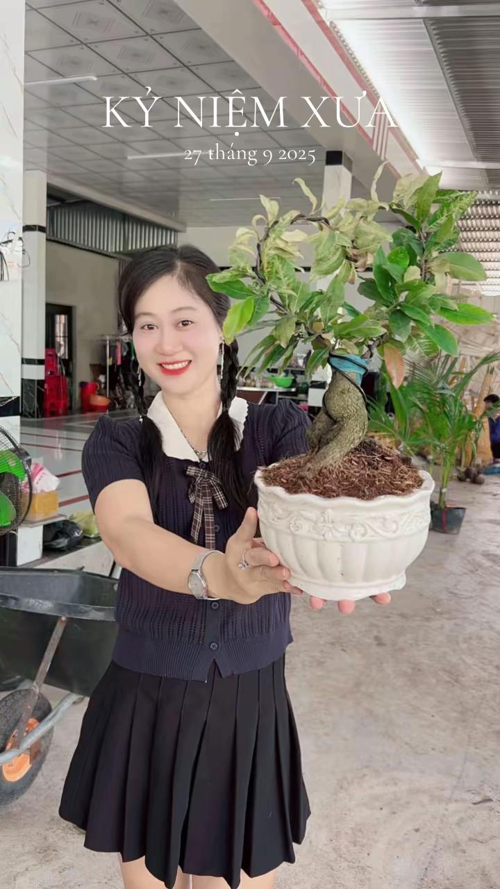 @Chichchoebong79