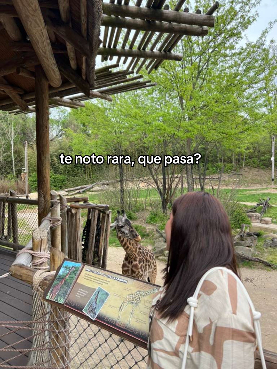 @VivianaGonzalez