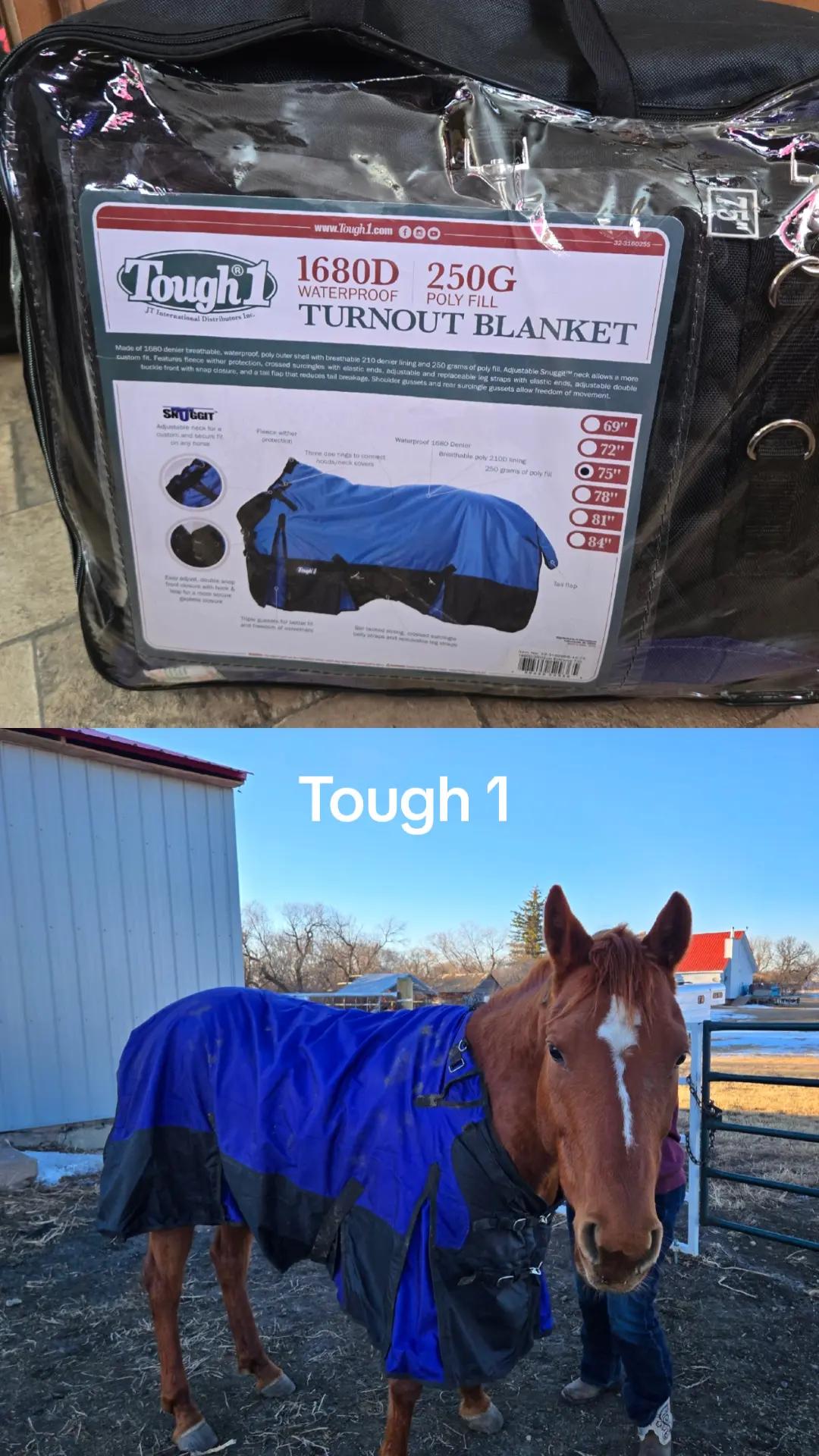 @Barrel Racing Journey
