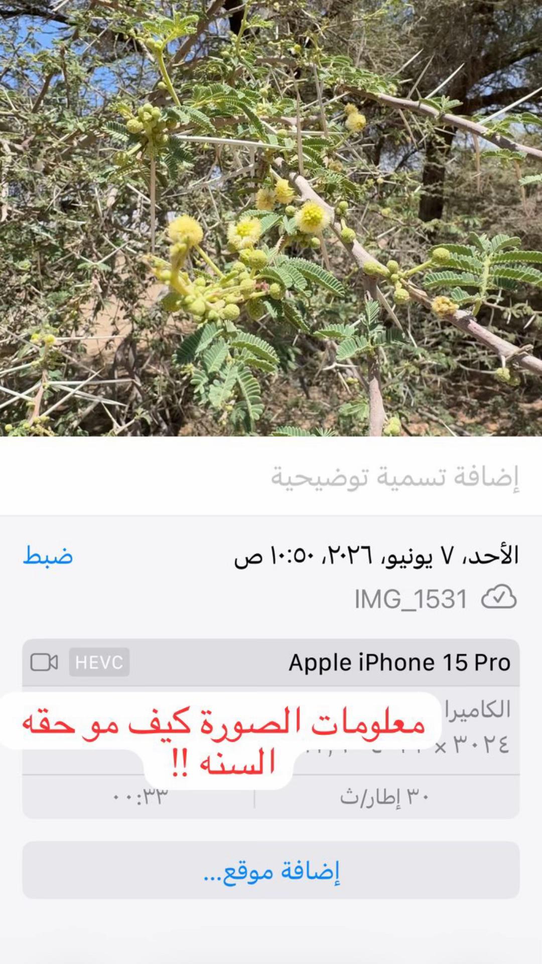 @مناحل ابوعبدالرحمن