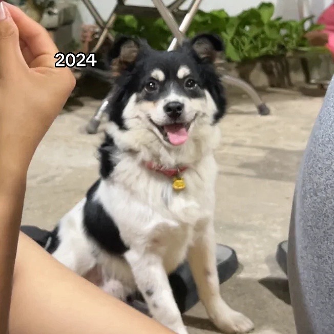 @Phạm Hồng Kỳ