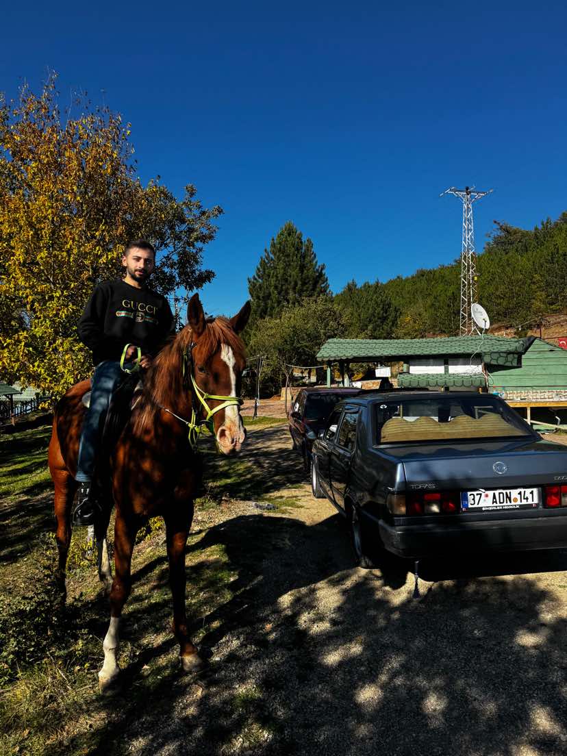 @Yasin Şimşir