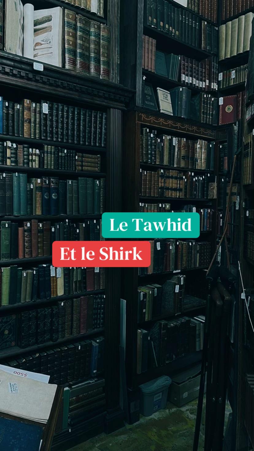 @قـلـب مـغـربـي 🇲🇦