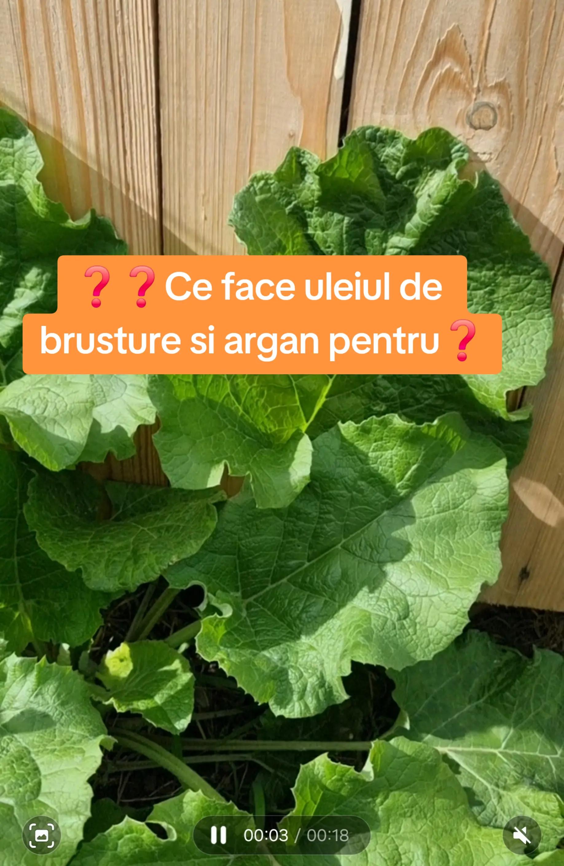 @🍎Din natură & Din tradiție